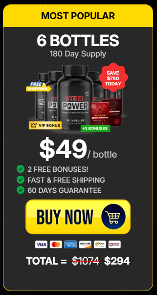steel power 6 bottles price