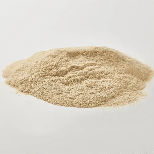 Chitosan