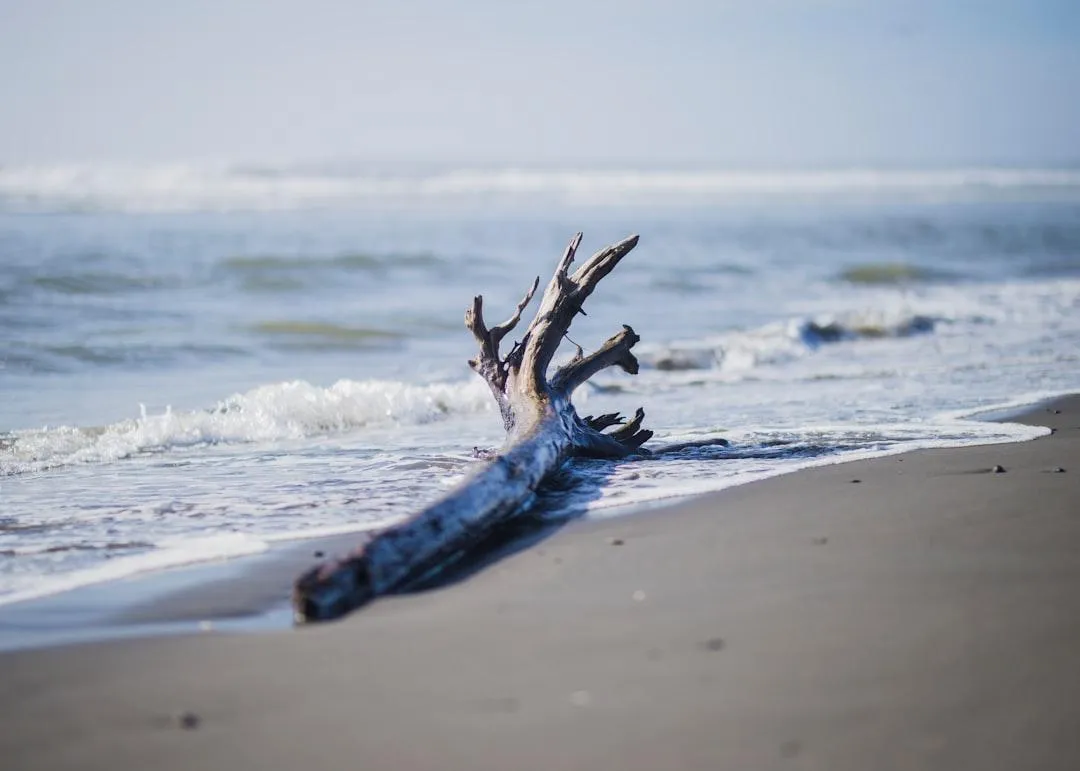 Post-Success Drift: Why Reinvention Becomes Essential After You’ve “Made It”