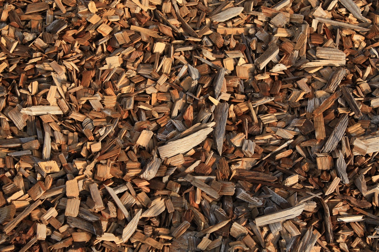 ple of wood chips after stump grinding