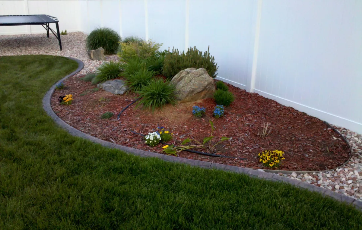 Some white flowers are in the middle of some green grass