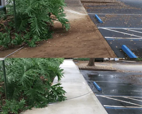 Navarre Driveway & Concrete Cleaning