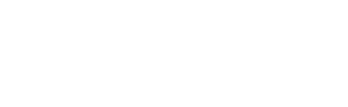 Silver Solutions Insurance