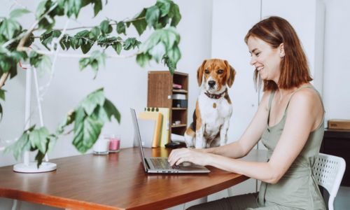 Business Coaching for Australian Women