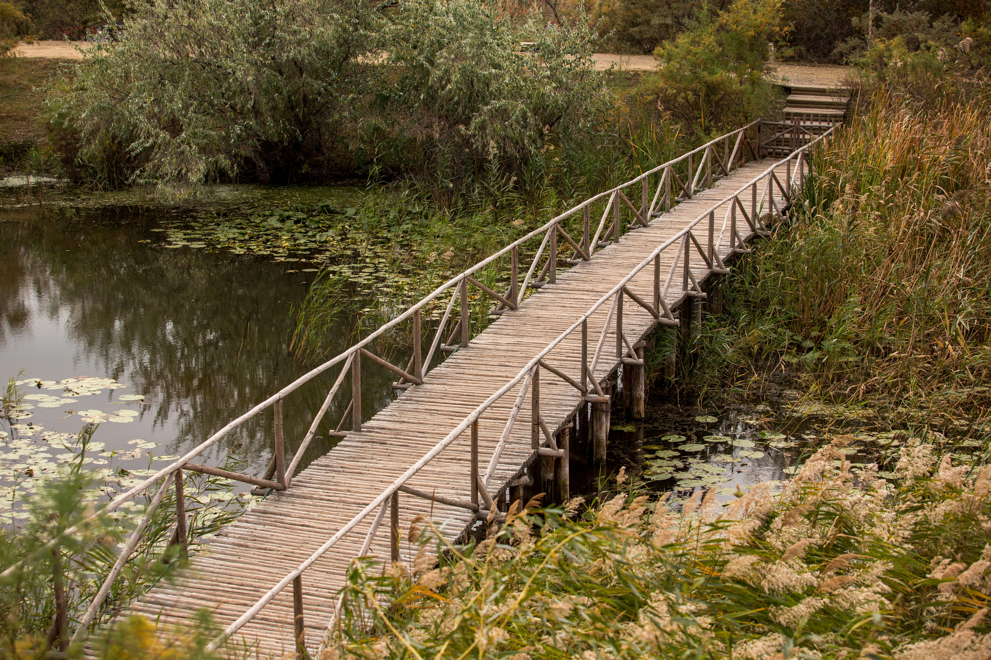 Wooden boardwalk stretching across a calm pond toward the trees beyond