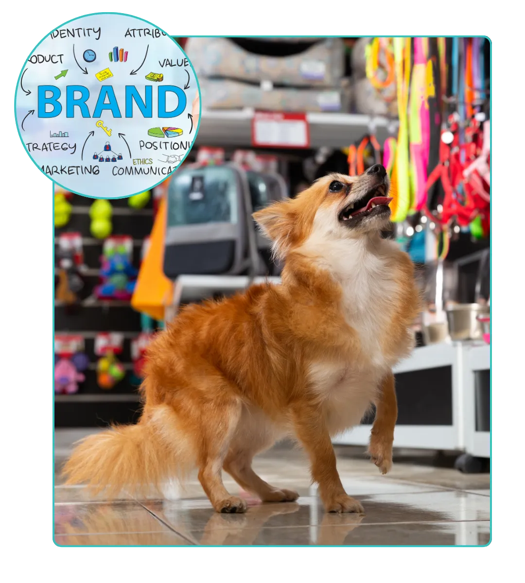 pet branding services