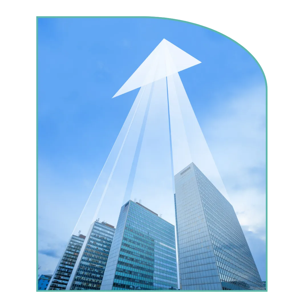 The Growth Journey of business