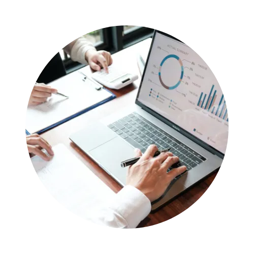 Portfolio Websites