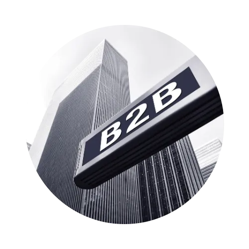 B2B Websites