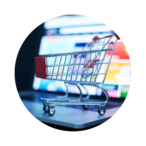Ecommerce Websites
