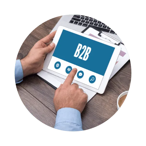 B2B Websites