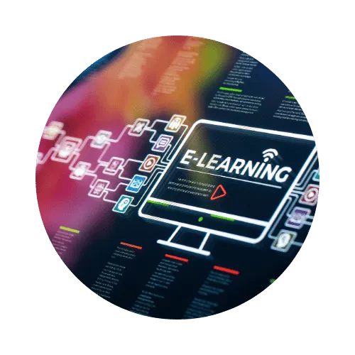 Portfolio Websites