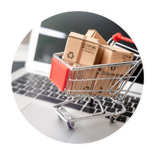 Ecommerce Websites