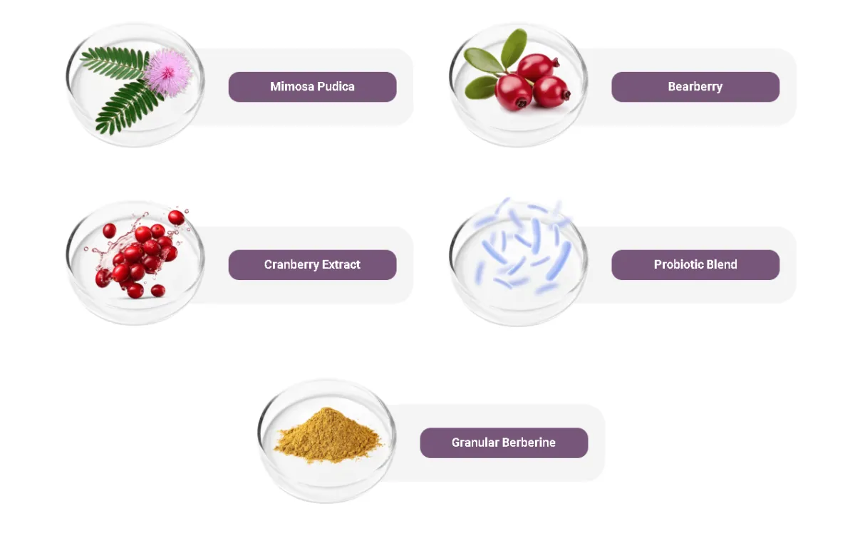 femipro ingredients