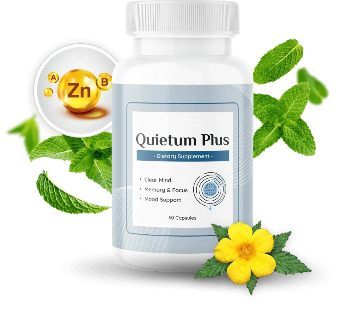 Quietum Plus
