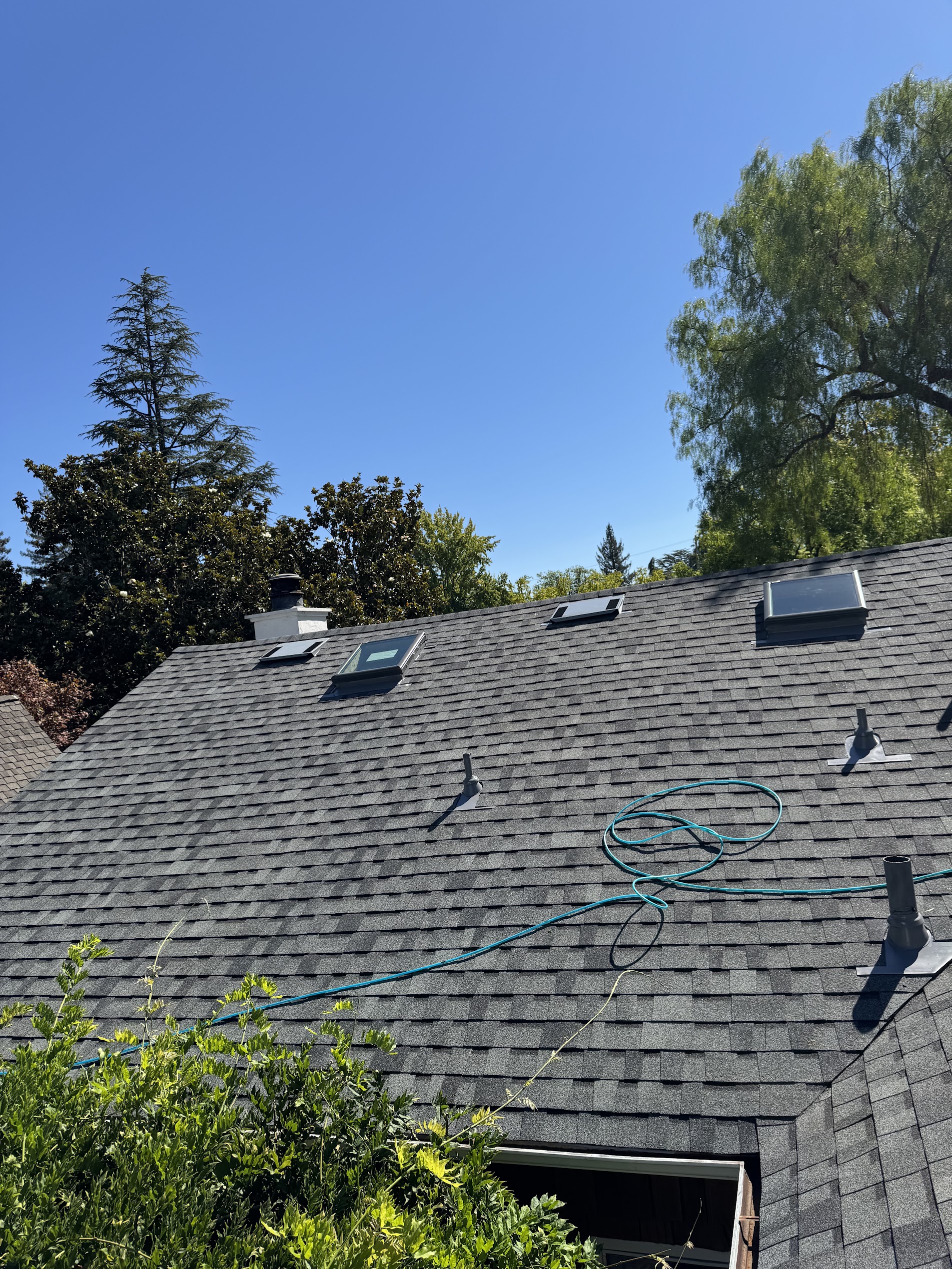 tpo roofing