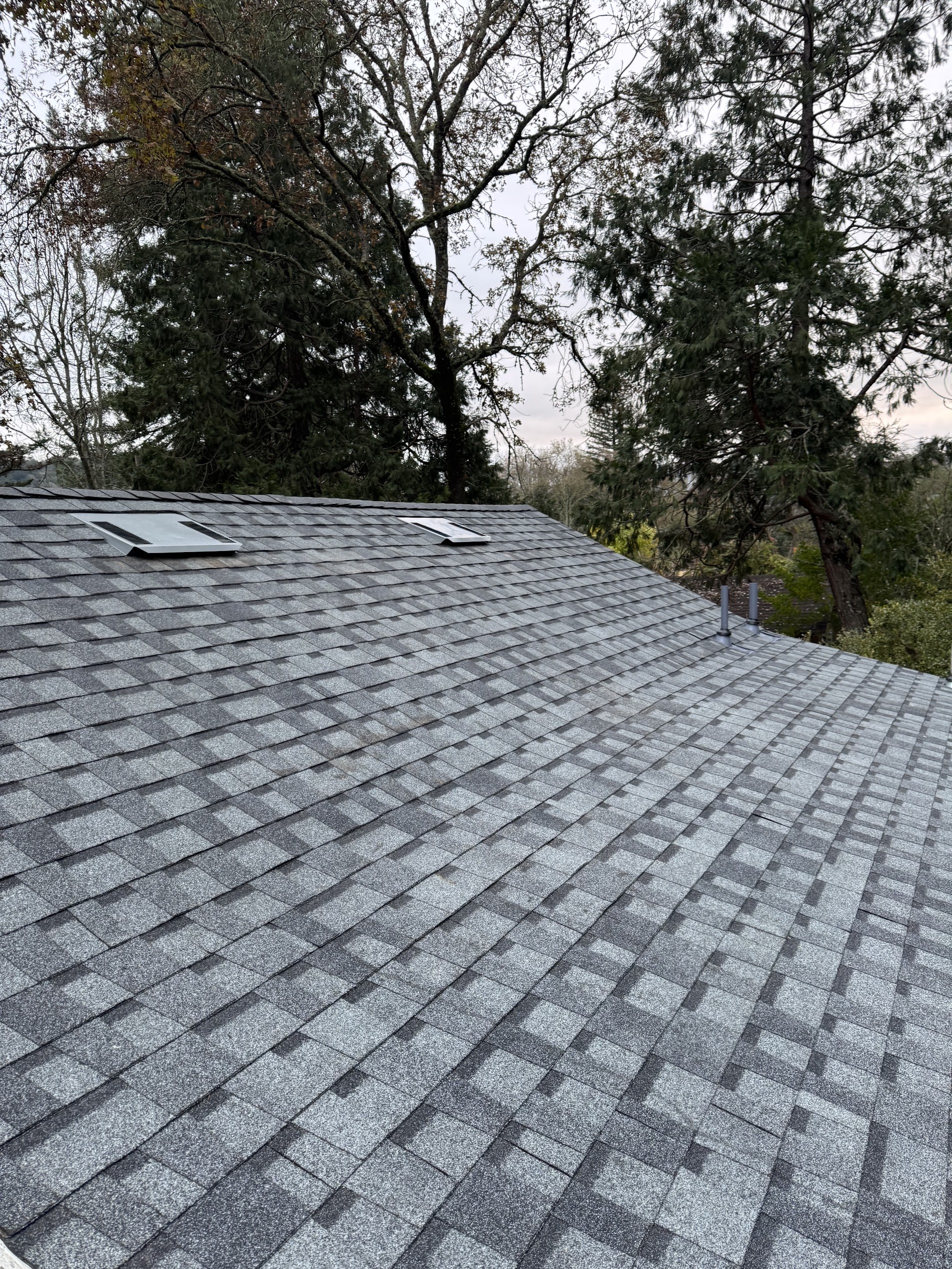 Roof Contractor in Sonoma County