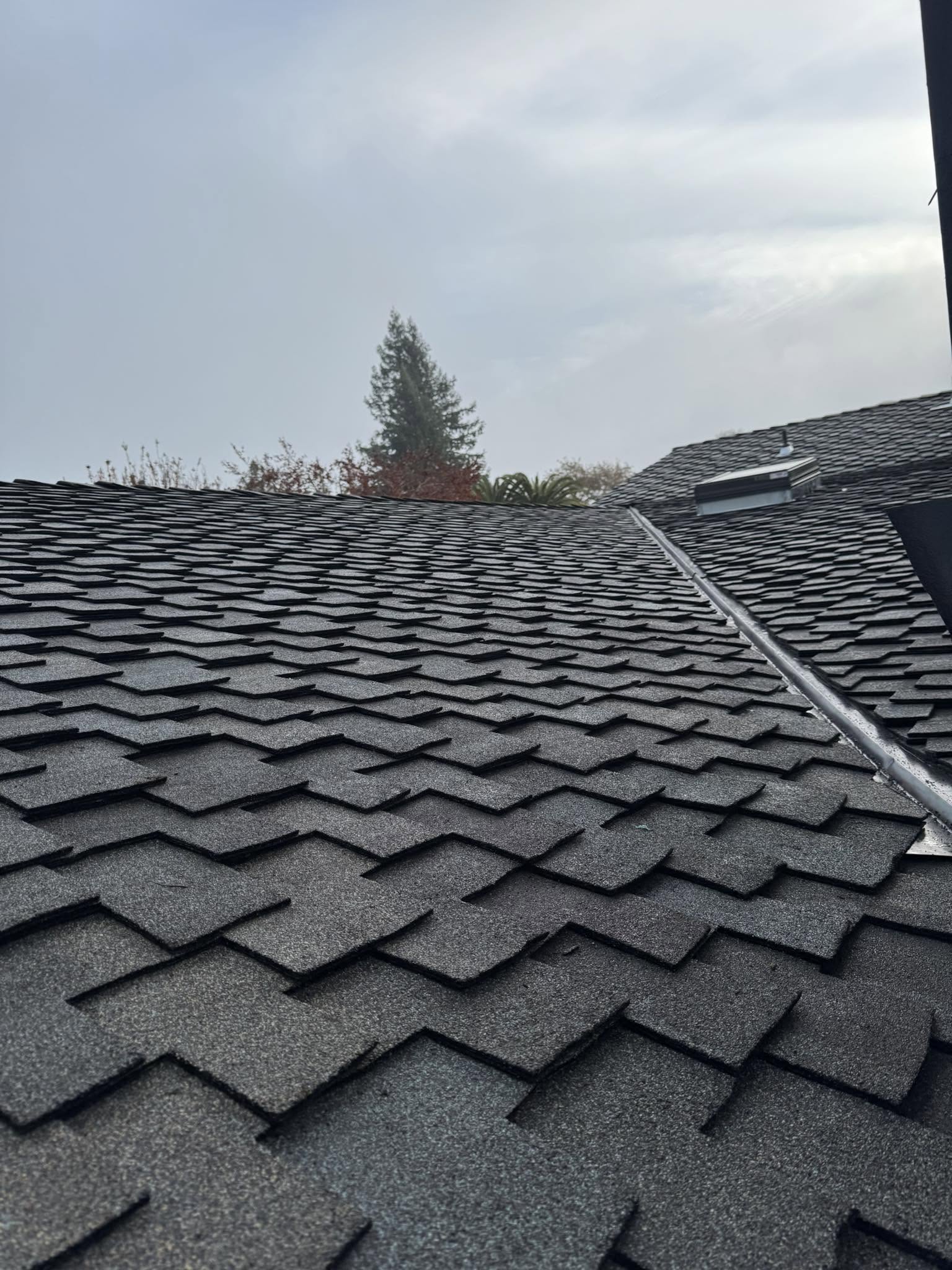 Roof Contractor in Sonoma County