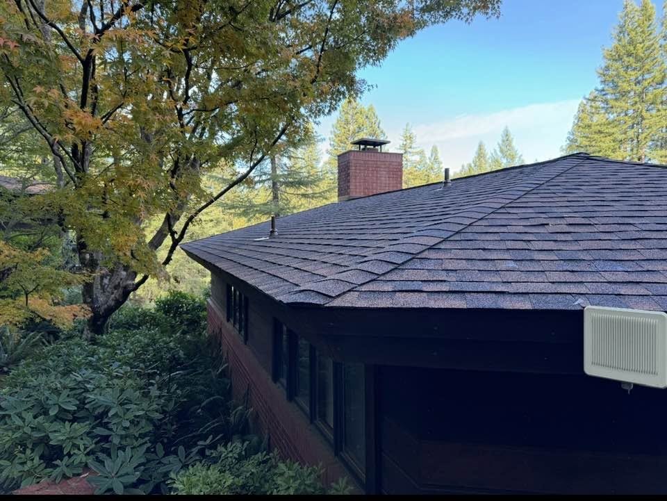 tpo roofing