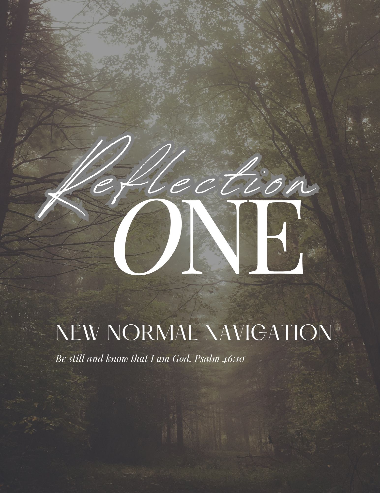 Reflection One Navigating The New Normal