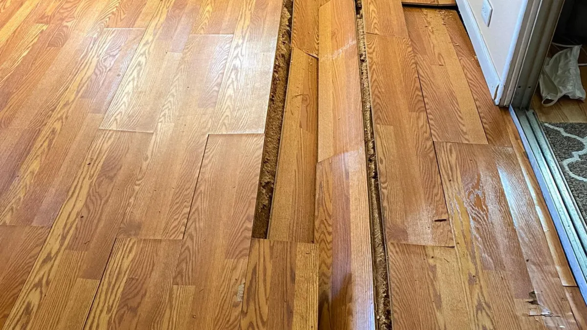 Structural Drying & Dehumidification