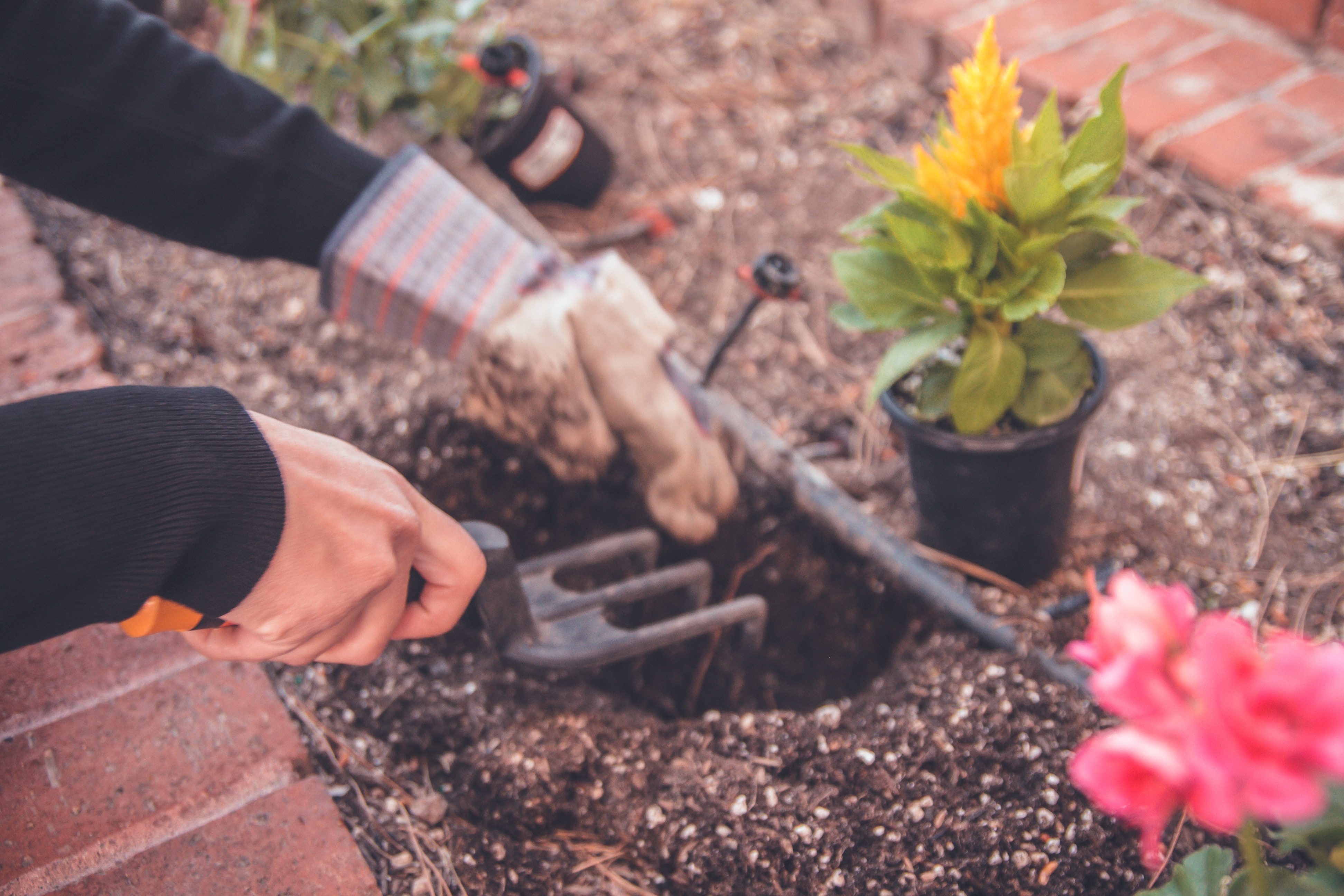 Hands tending to garden soil in a quiet, mindful moment