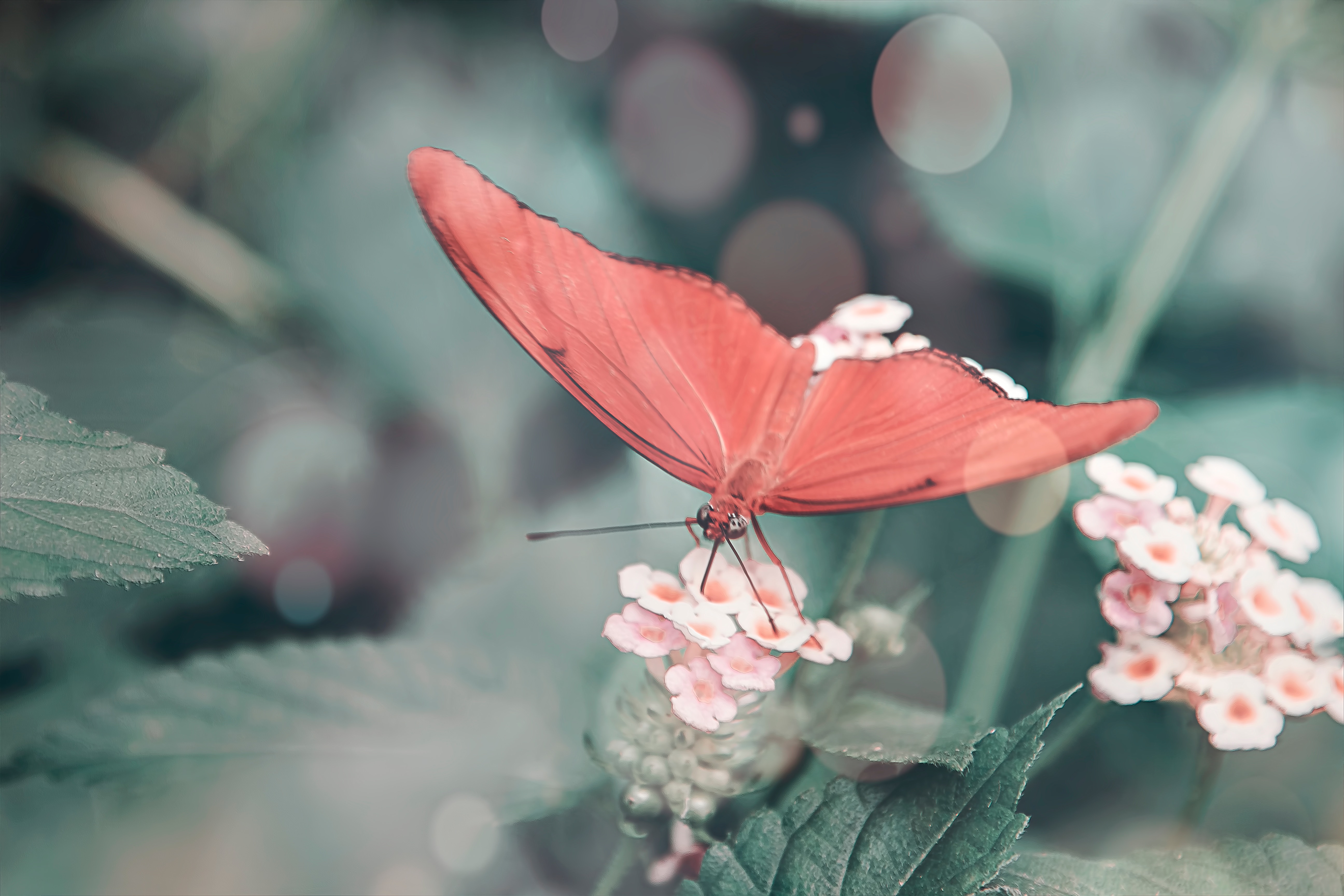 Mindfulness: Delicate, Precious, Beautiful, Healing