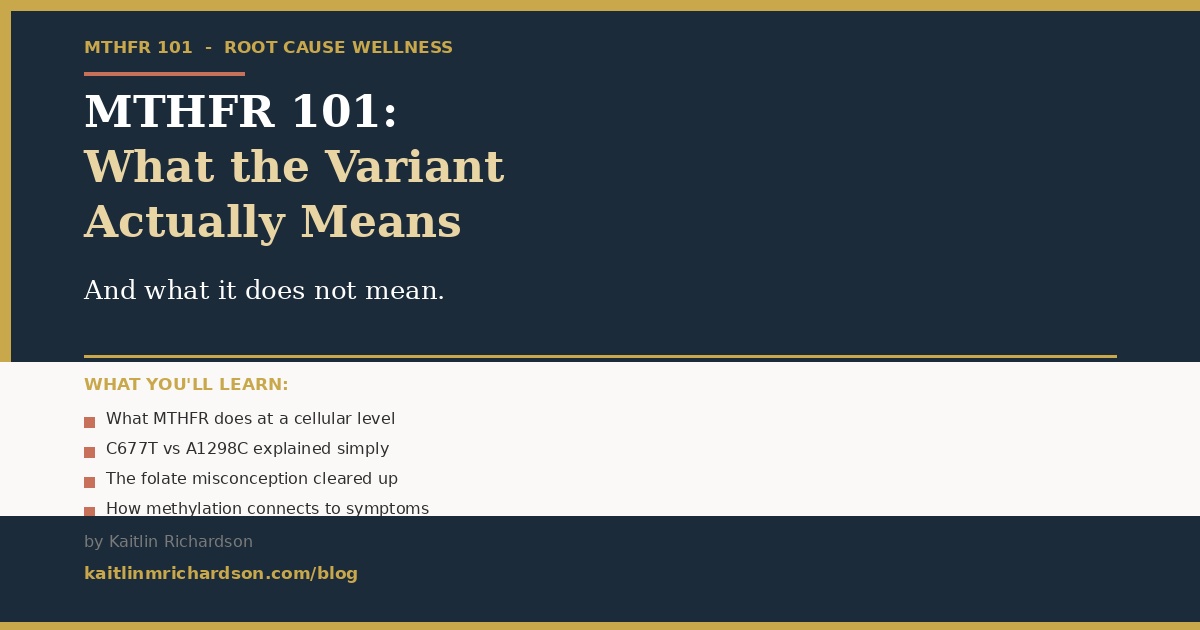 MTHFR 101: What the Variant Actually Means (And What It Does Not)