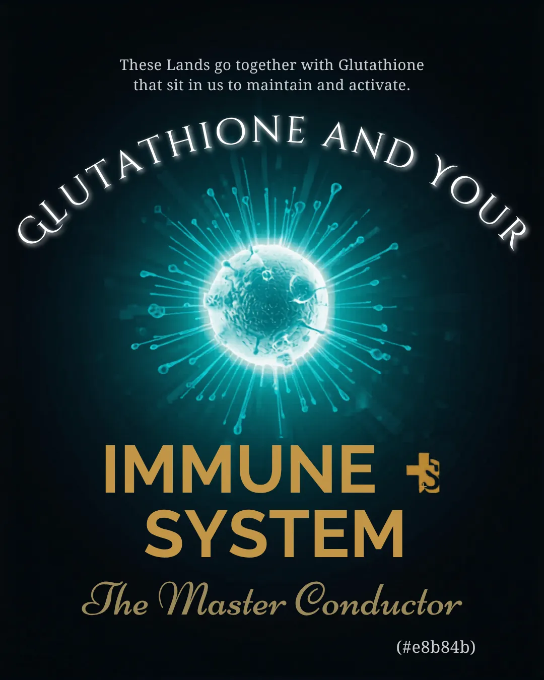 How Glutathione Strengthens Your Immune System