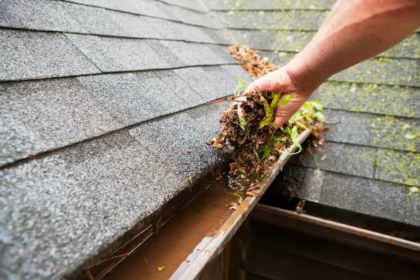 gutter cleaning Summerville SC