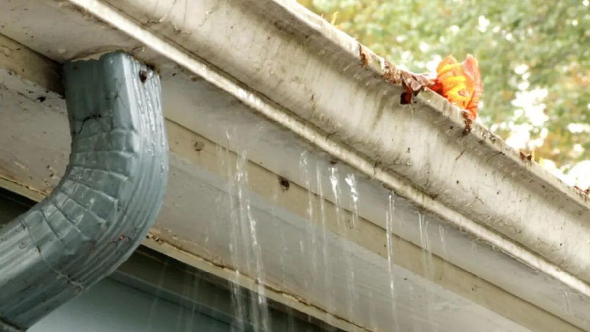 gutter cleaning Summerville SC