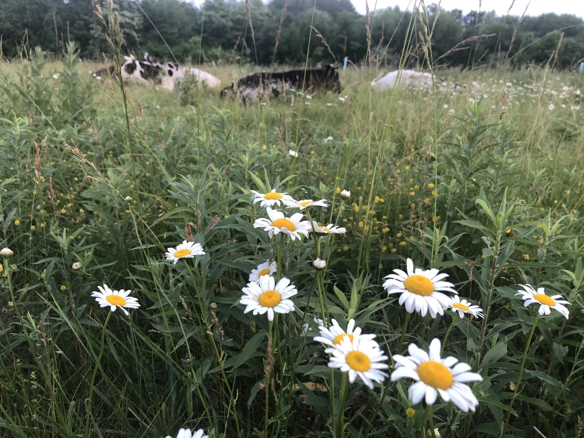 Defining Seasonal Living in Motherhood