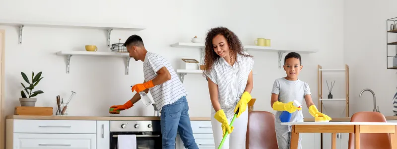green cleaning