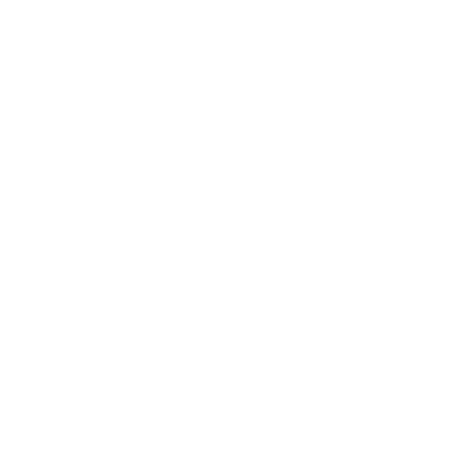 Foundation Pillar – Model accountability through integrity, ownership, and responsible leadership