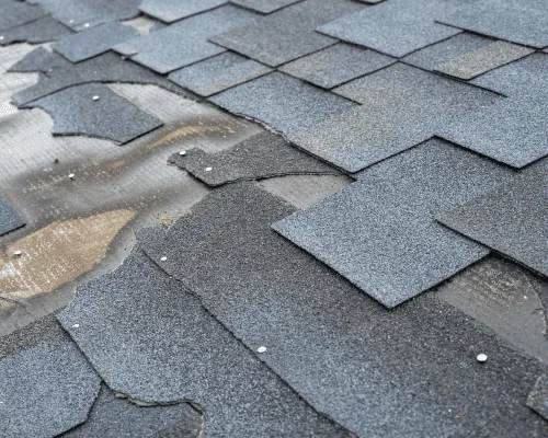 Palm Beach County Roof Repair