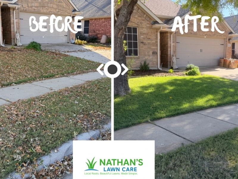 leaf cleanup in argyle, texas