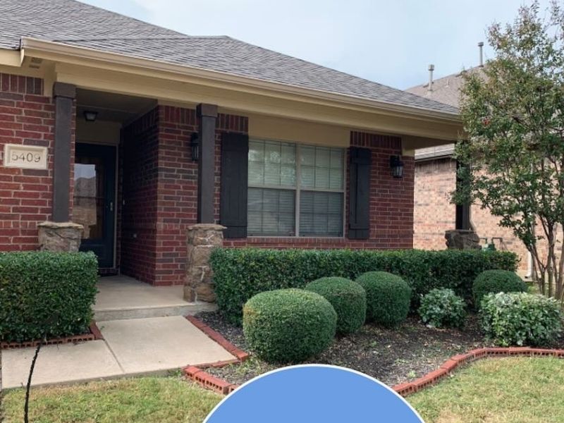 hedge trimming in argyle, texas