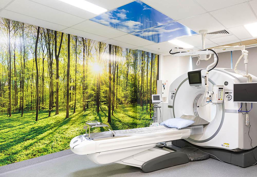 bright radiology fit out room with trees and sky wall paper