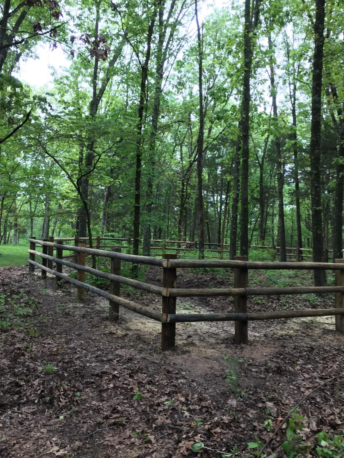 Commercial Construction