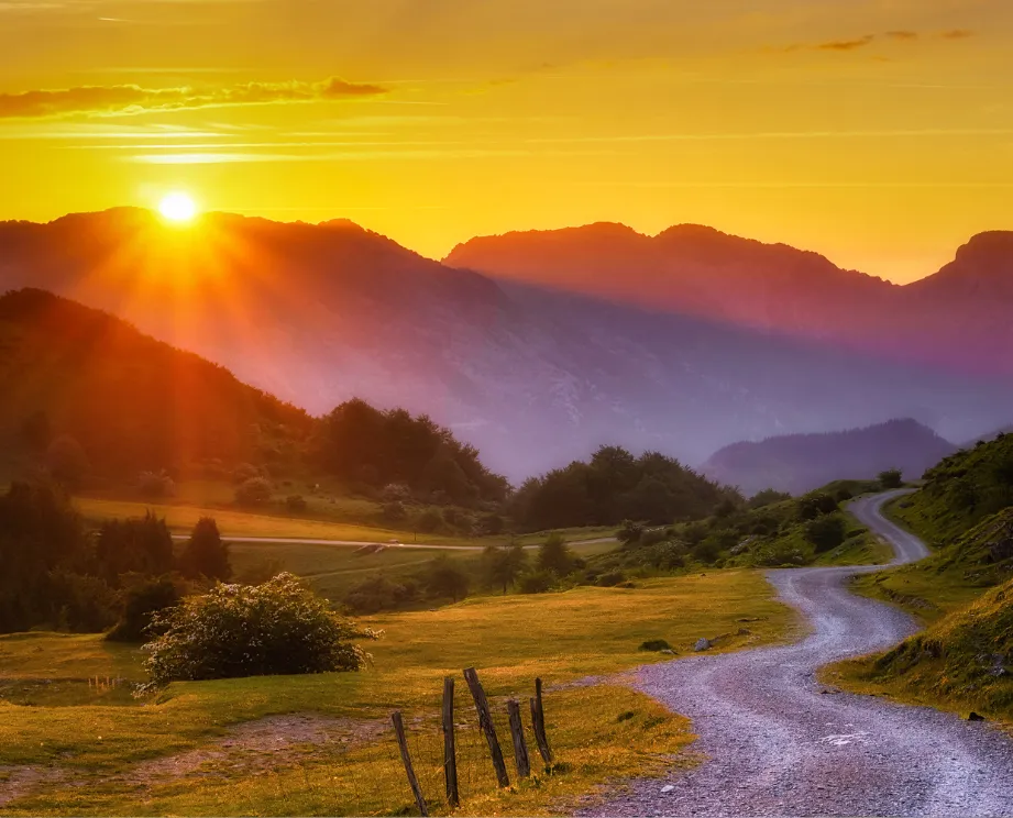 A path to take for entrepreneurs and solopreneurs mindset, procrastination and limiting beliefs
