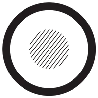 Conscious State University