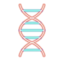 Outsourced Marketing Deparment