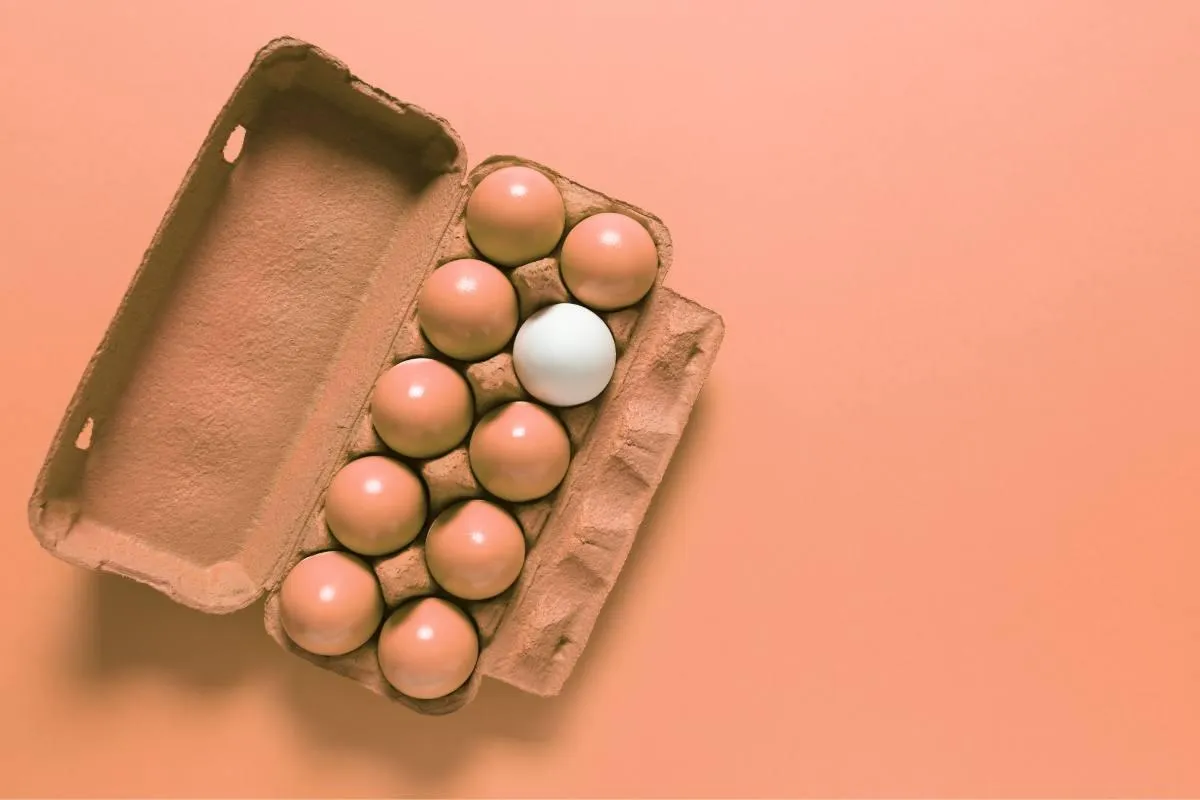 How a Mini "Product" Sold More Services