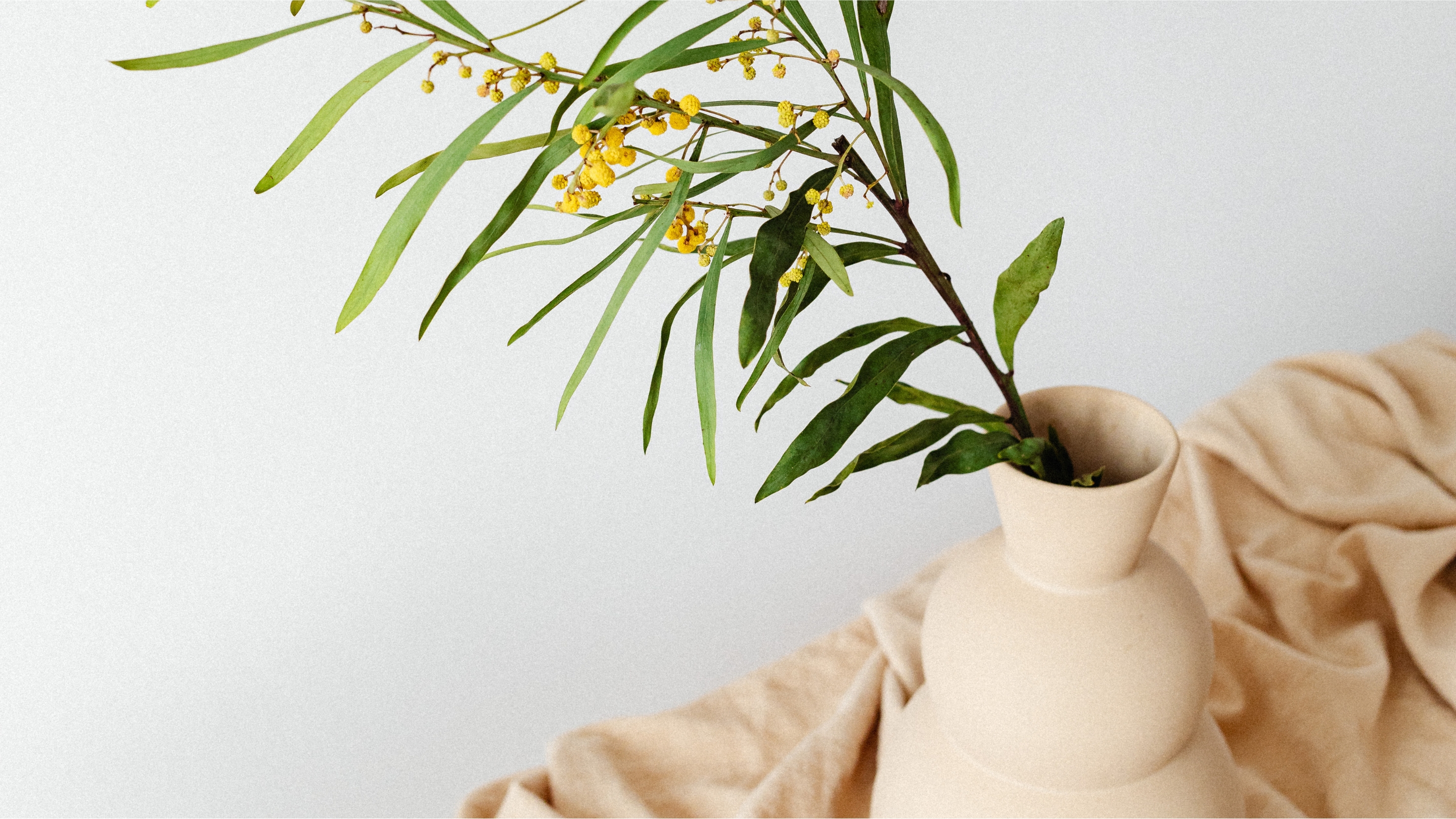 Superannuation & Payday Super Australia | Employer Obligations Guide