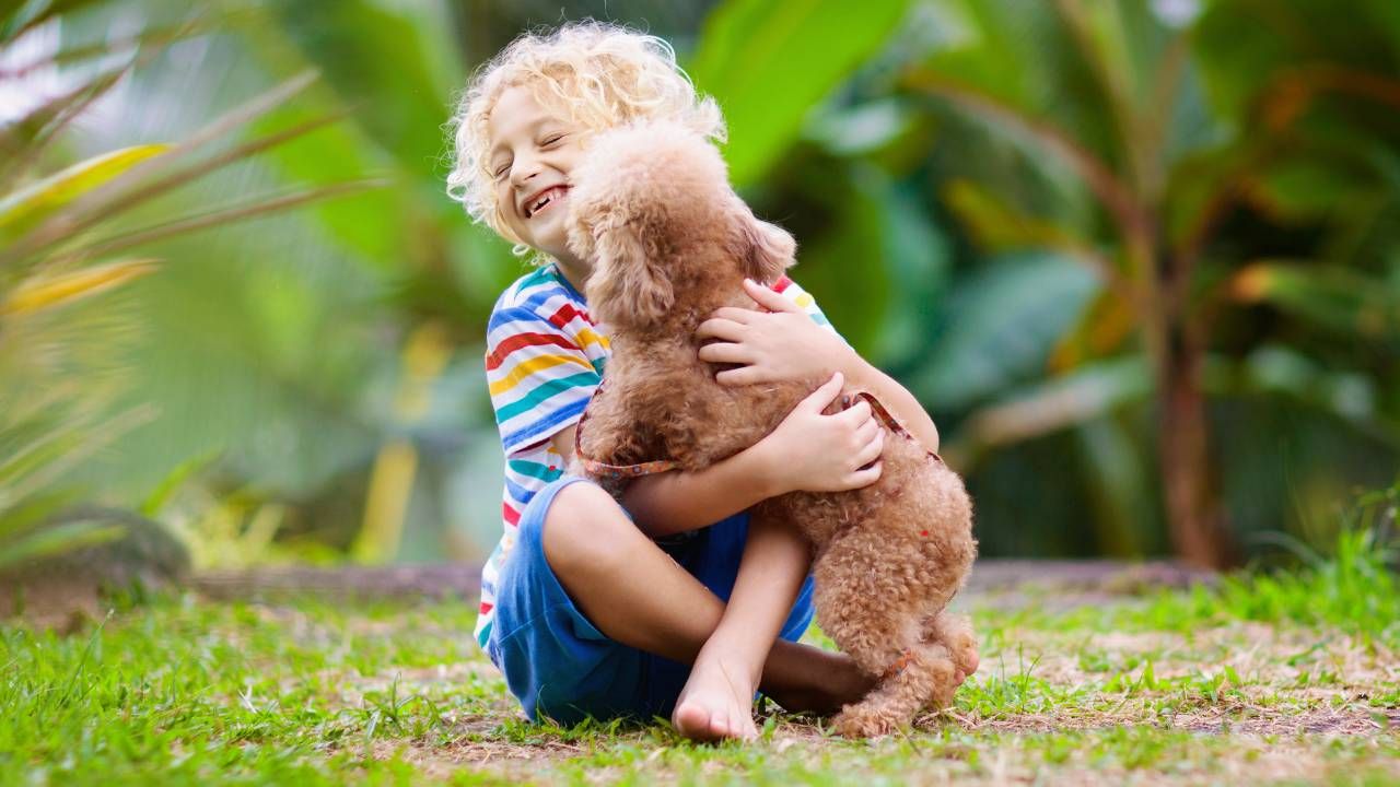 Designer Dogs and Families: Best Breeds for Kids and Companionship