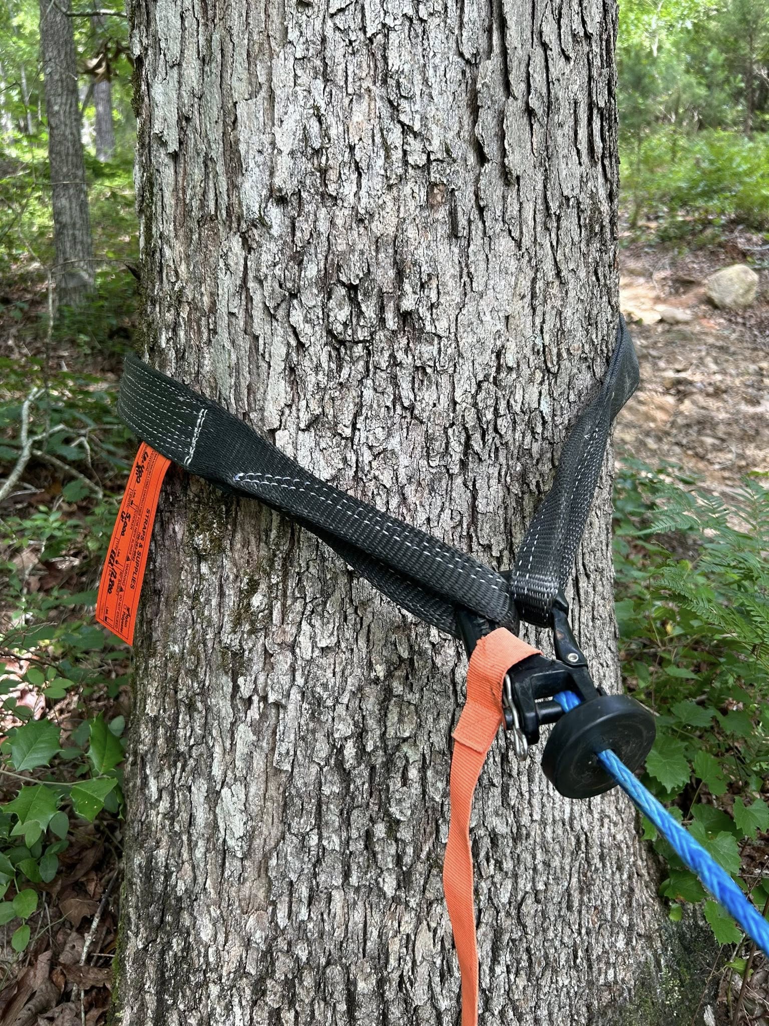 lifting straps for sale heavy duty lifting straps industrial lifting straps cargo straps supplier custom lifting straps nylon lifting straps polyester lifting straps eye and eye lifting straps endless lifting slings rigging straps manufacturer load securement straps tow and recovery straps flat web slings crane lifting straps construction lifting slings tree savers