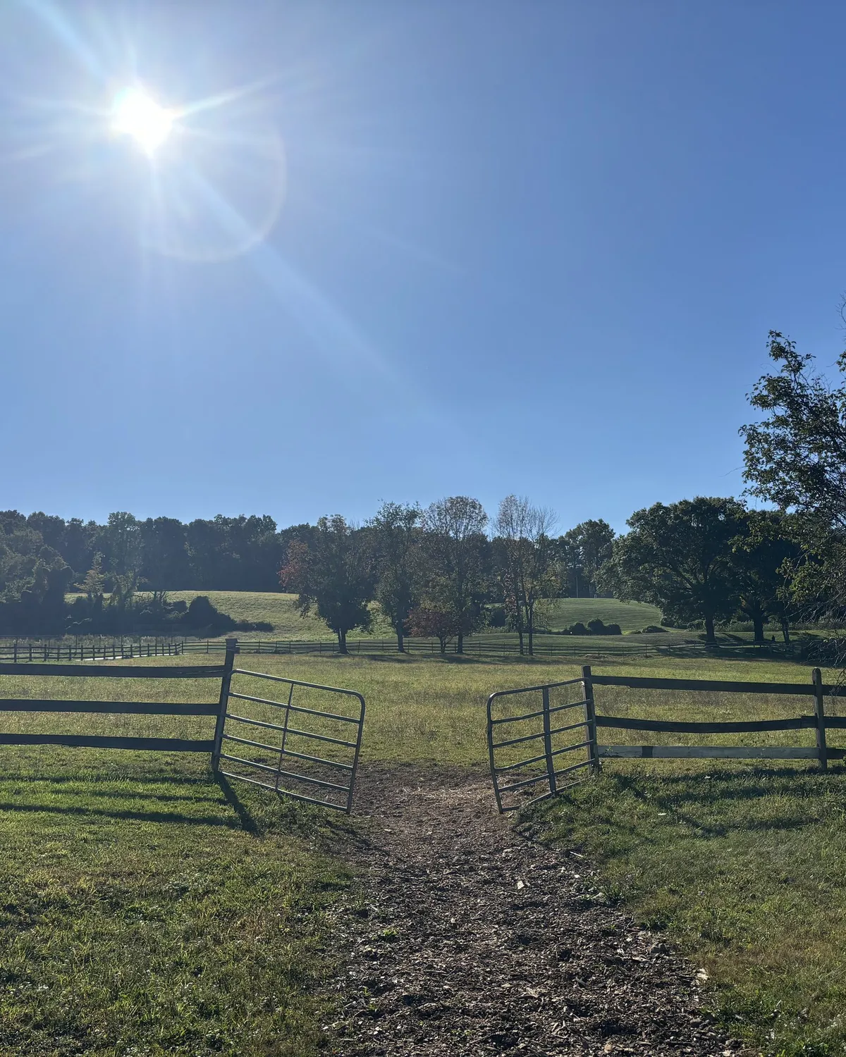An open gate on a dirt path through a sunlit field.