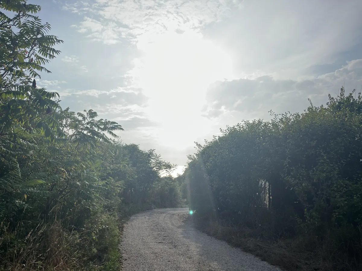 A gravel road curving between hedges toward bright sky on Block Island