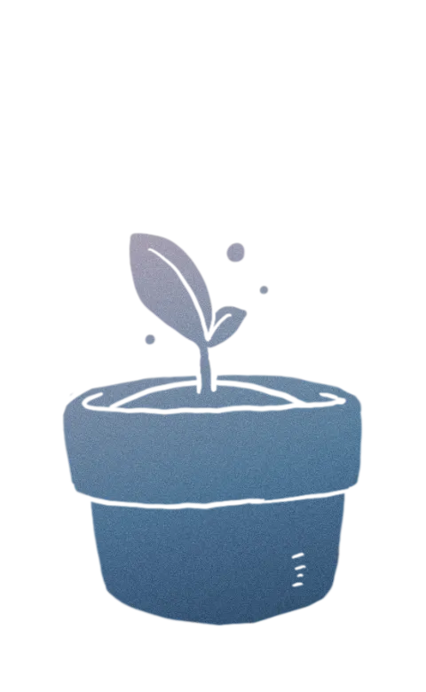 sadie core plan -a sprout