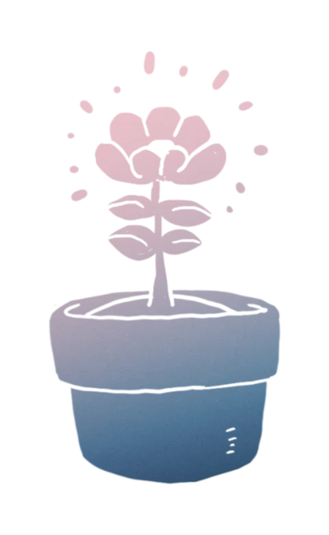 sadie growth plan - bloom